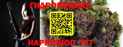 эйфоретик Гатчина