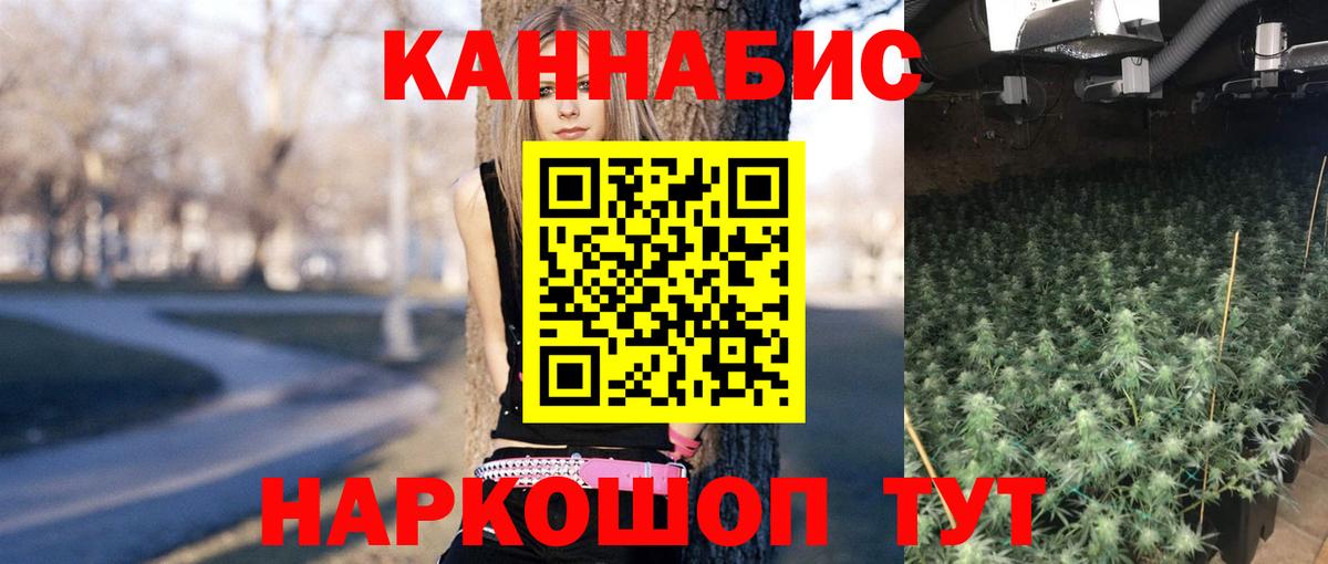 Шишки марихуана гибрид  Вход с VPN  Марихуана White Widow  Бошки марихуана планчик  Минеральные Воды  Шишки марихуана OG Kush 